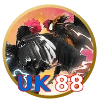 UK88
